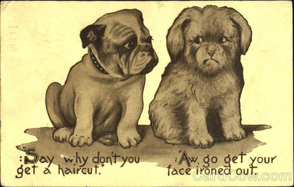 Say Why Don't You Get A Haircut Aw Go Get Your Face Ironed Out