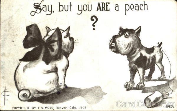 Say But You Are A Peach Dogs