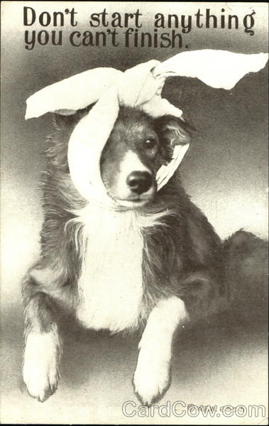 Don't Start Anything You Can't Finish Dogs