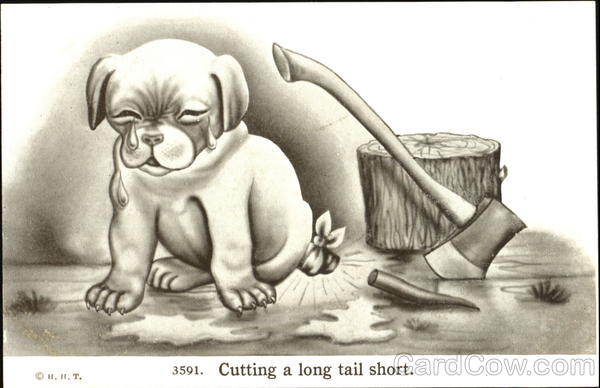 Cutting A Long Tail Short Dogs