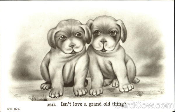 Isn't Love A Grand Old Thing Dogs