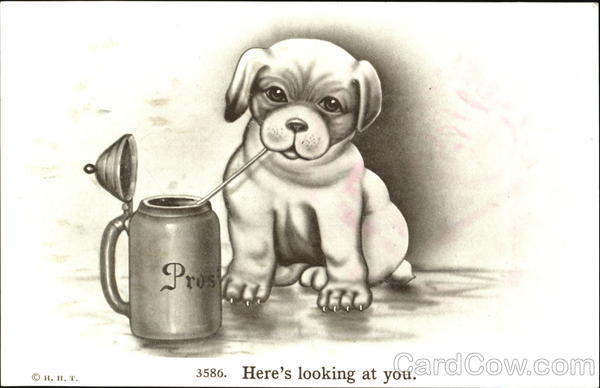 Here's Looking At You Dogs