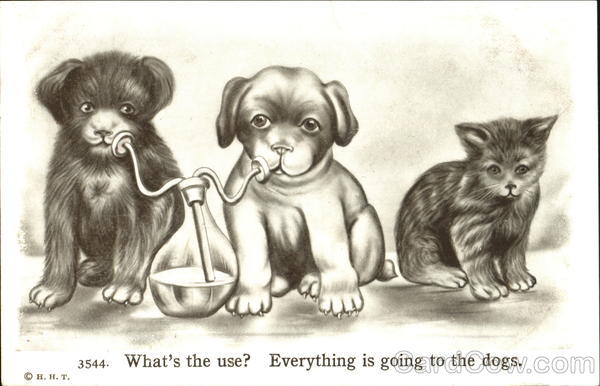 What's The Use? Everything Is Going To The Dogs
