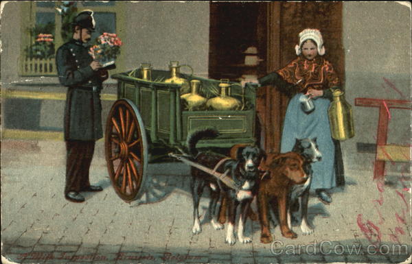 A Milk Inspection Brussell Belgium Dogs