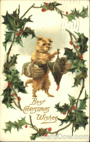 Best Christmas Wishes Dogs