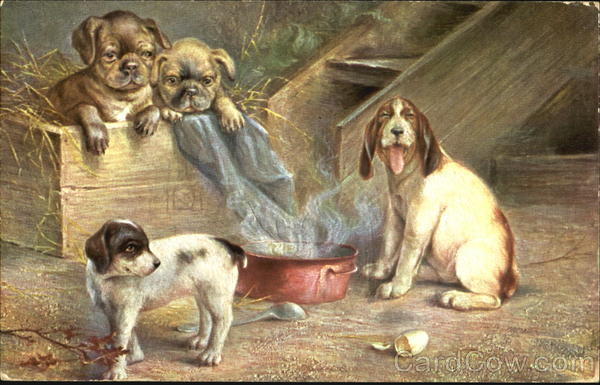 Puppies in Box Dogs