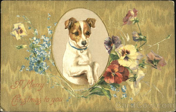 A Merry Christmas To You Dogs