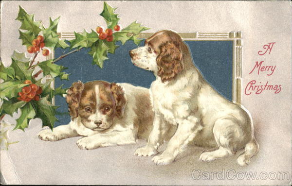 A Merry Christmas Dogs