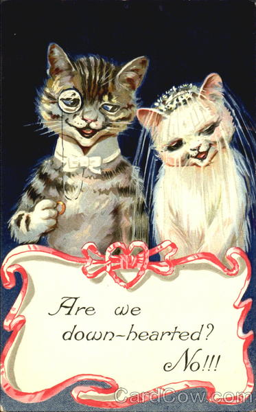 The Wedding Day Cats