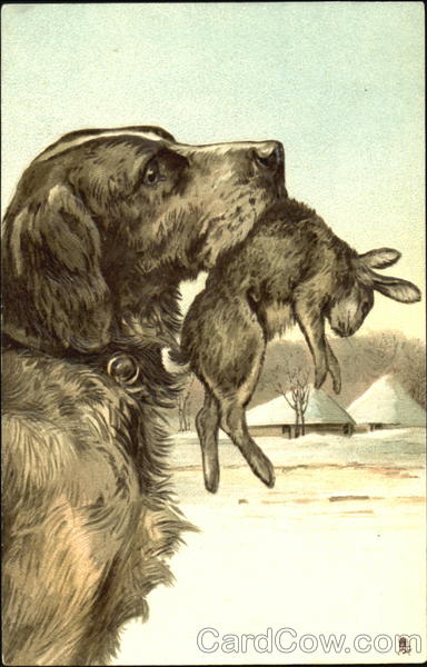 Dog with Rabbit Dogs