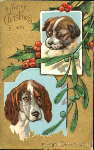 A Merry Christmas To You Dogs