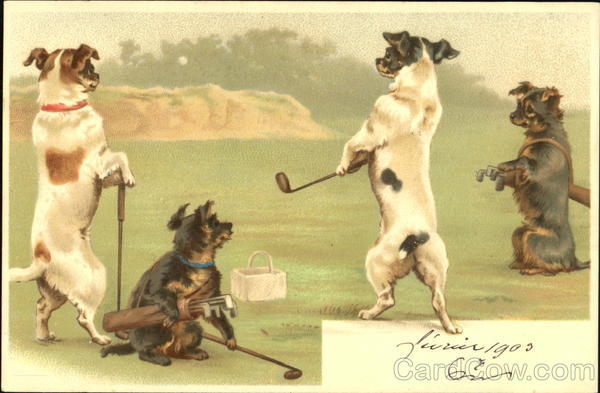 Golfing Terriers Dogs