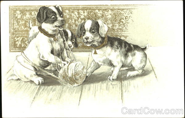 Au Mimosa, 91, Rue La Fayette Paris Dogs