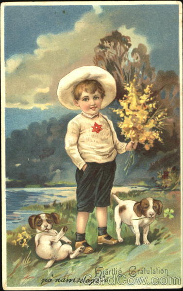 Hjartlig Gratulation Dogs