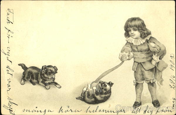 Boy playing with puppies Dogs
