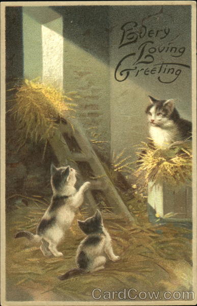 Every Loving Greeting Cats