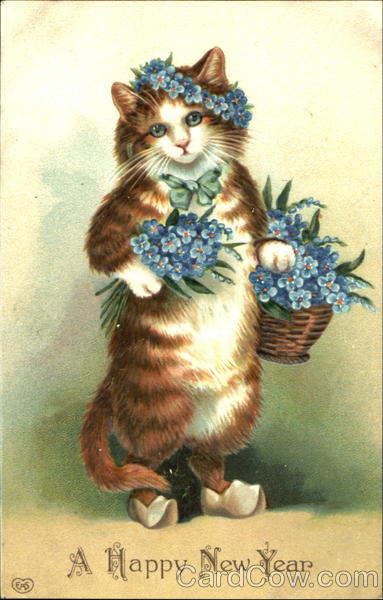 A Happy New Year Cats