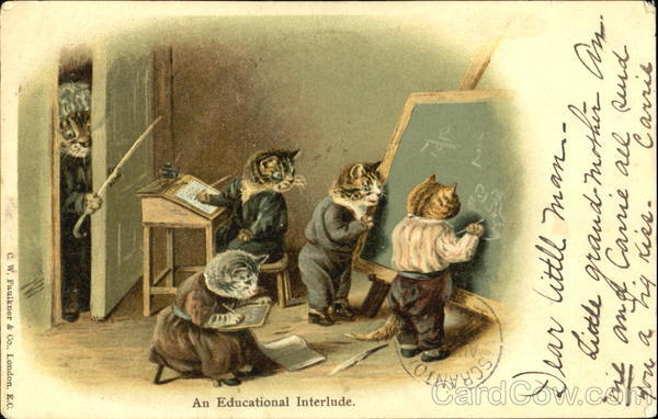 An Educational Interlude Cats