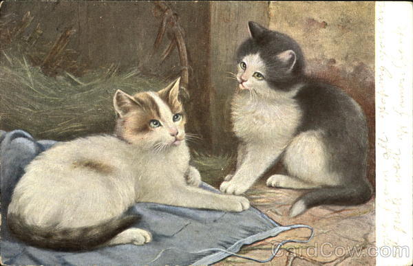 Cats in Barn
