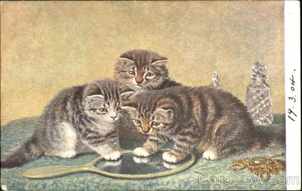 Three Cats and a Mirror