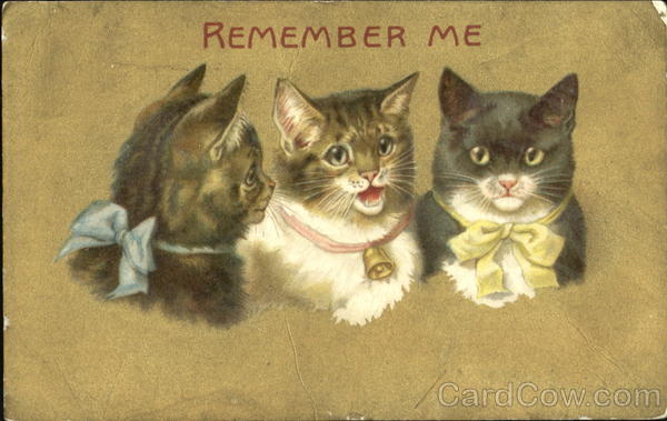 Remember Me Cats