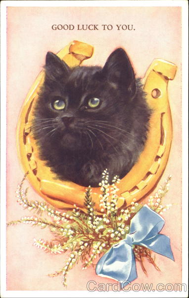 Good Luck To You Cats