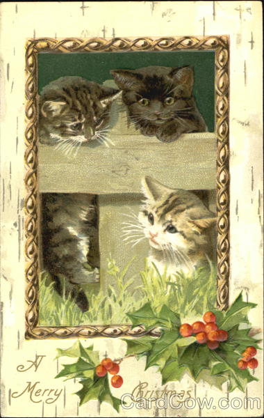 A Merry Christmas Cats