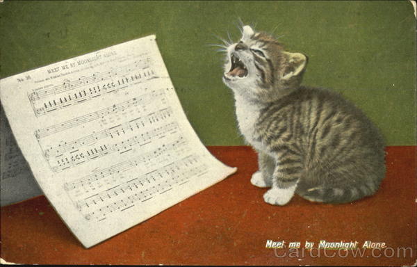 Meet Me By Moonlight Alone Cats