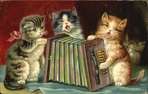 Cats and Music