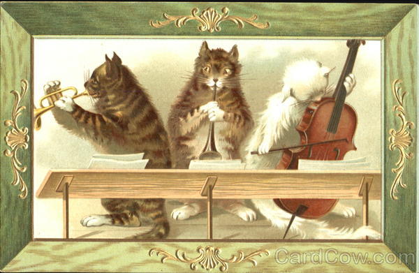 Musical Trio Cats