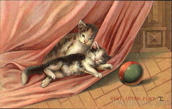 Rest After Play Cats