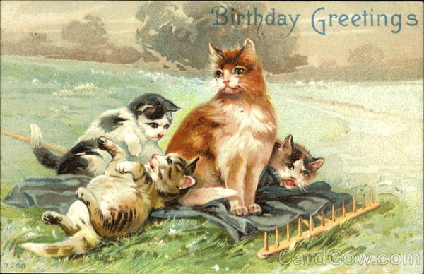 Birthday Greetings Cats