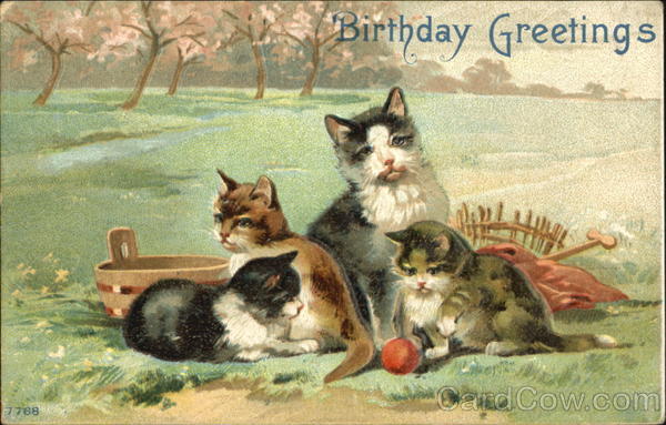 Birthday Greetings Cats