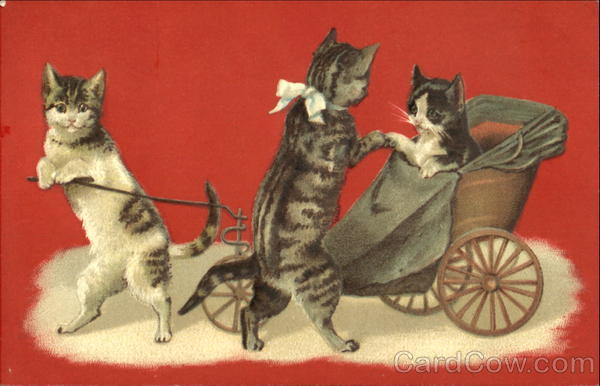 Cats in Carriage