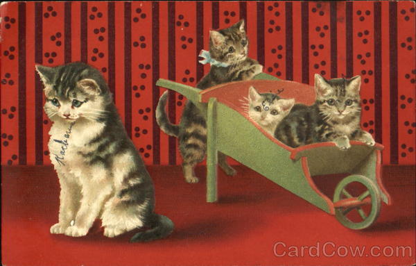 Mother Cat with Kittens in Wheel Barrel Cats