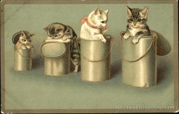 Kittens in Pails Cats