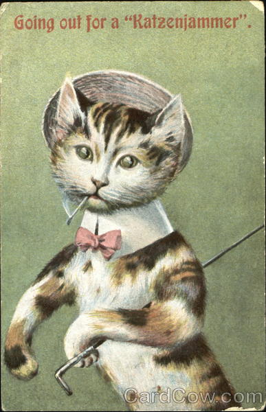 Going Out For A Katzenjammer Cats