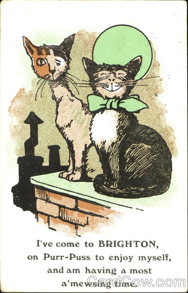 I've Come To Brighton Cats