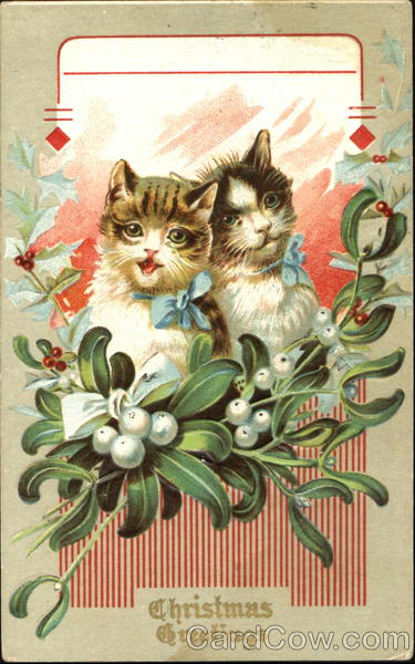 Christmas Greetings Cats
