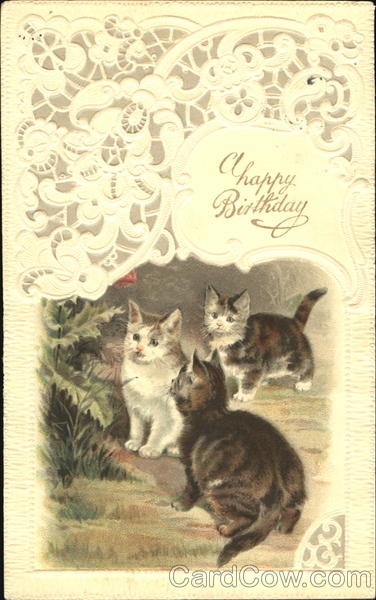 Happy Birthday Cats