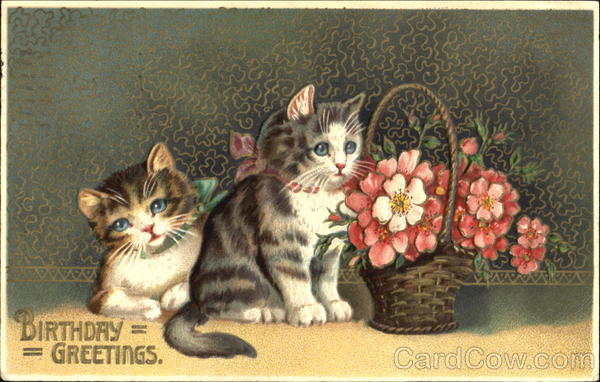 Birthday Greetings Cats