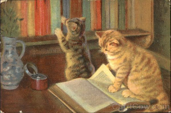 Cats at Library