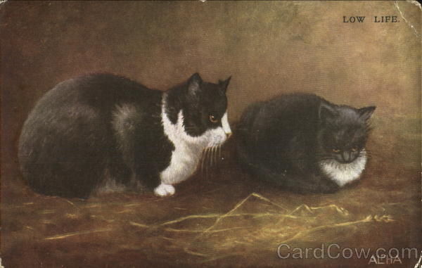 Low Life Cats