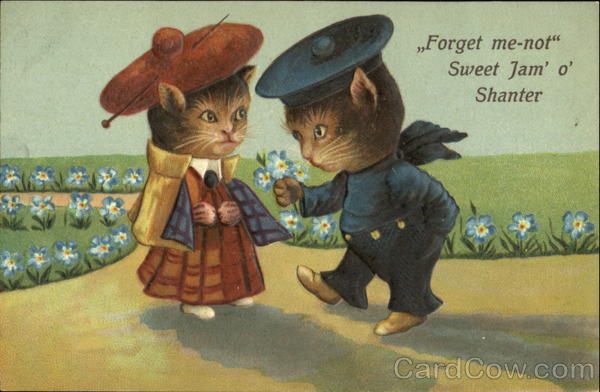 Forget Me-Not Sweet Jan O Shanter Cats