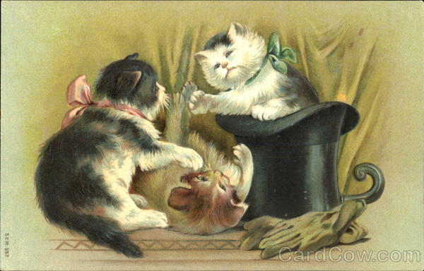 Cats Playing