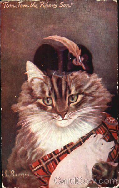 Tom Tom The Pipers Son Cats