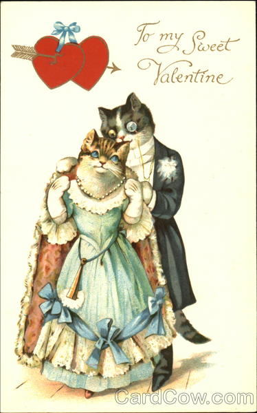To My Sweet Valentine Cats