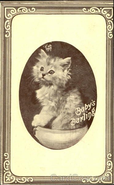 Baby's Darling Cats