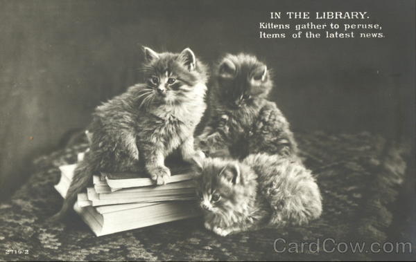 In The Library Cats