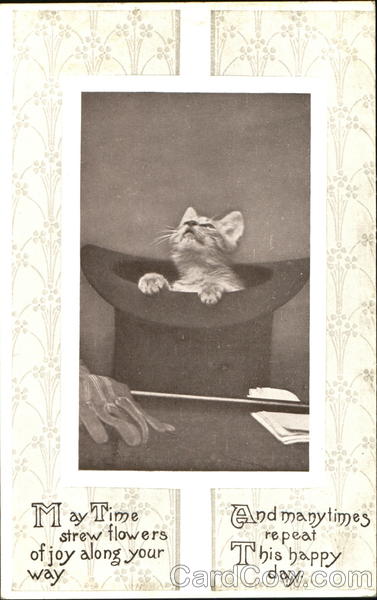 May Time Strew Flowers Of Joy Along Your Way Cats